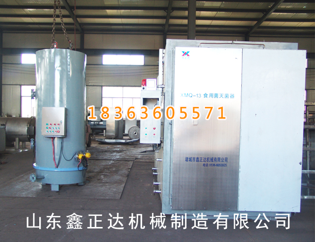 13m3 sterilizing machine 